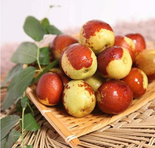 滄州黃驊美食推薦,蝦醬和毛蚶哪個最能代表黃驊美食