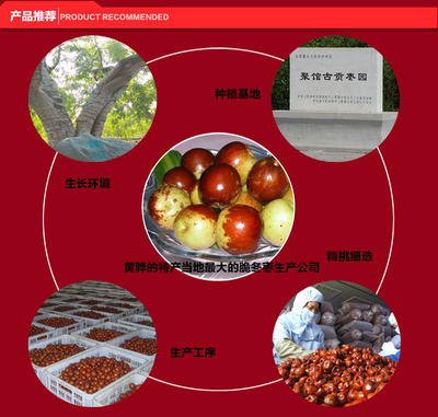 十月紅 無核 50克脆冬棗 黃驊脆冬棗 脆甜 脆棗 空心棗 脆冬棗